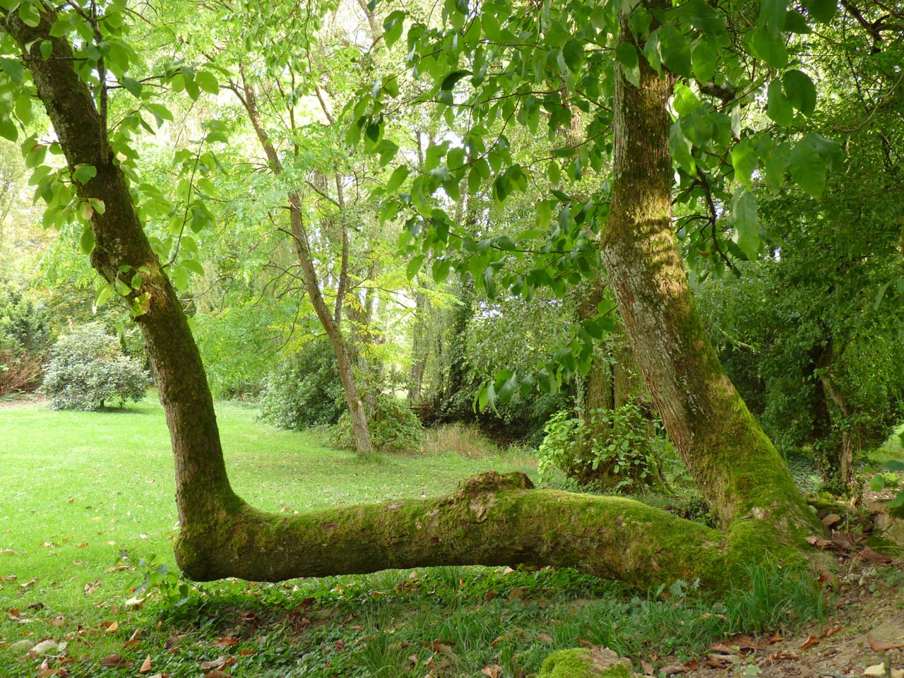 La Commune MAIRIE DE SENTHEIM
